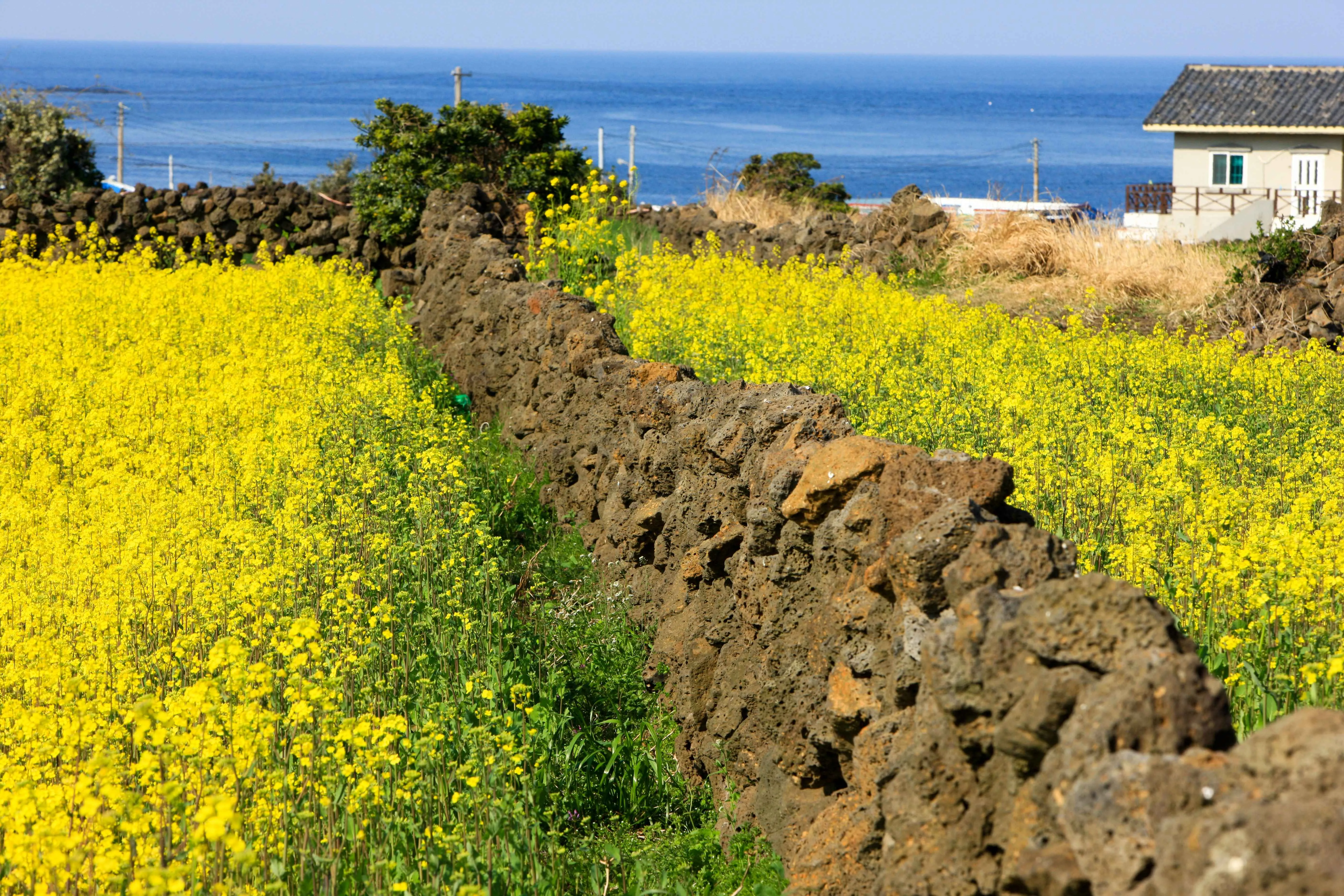 Type1_우도_한국관광공사 김지호_Qc9U8a.jpg