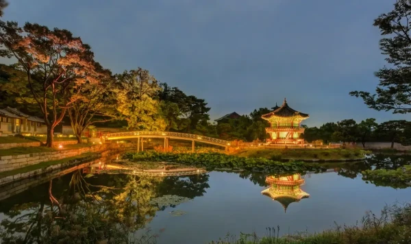 2025 Gyeongbokgung Starlight Night TourㅣExclusive tickets for foreign visitors