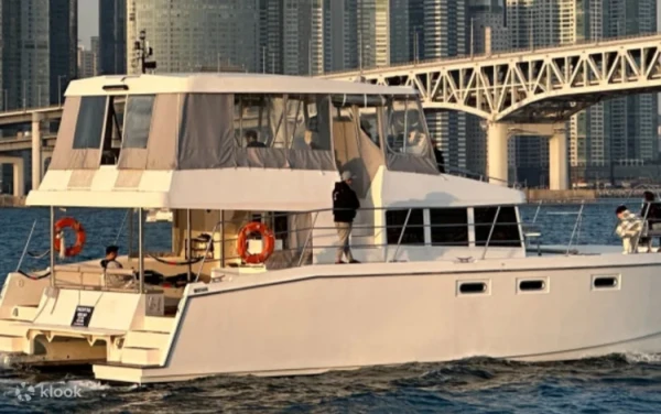 Aura（公开发行）