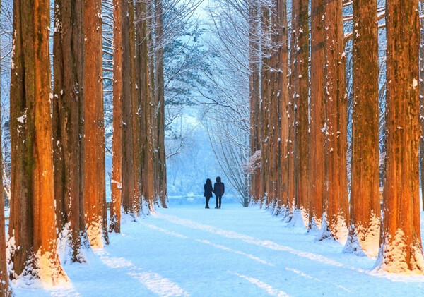 [From Seoul] Seoraksan Panorama Highlights (Day Tour)