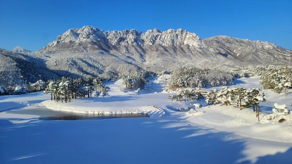 [From Seoul] Seoraksan Panorama Highlights (Day Tour)