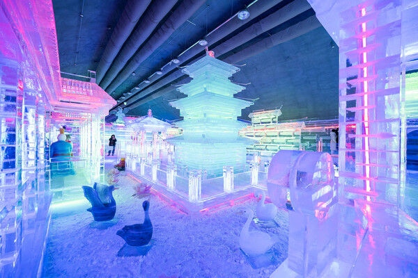 [From Seoul] One-Day Trip: Hwacheon Sancheoneo Ice Festival & Eobi Valley (Gangwon-do / Hwacheon)