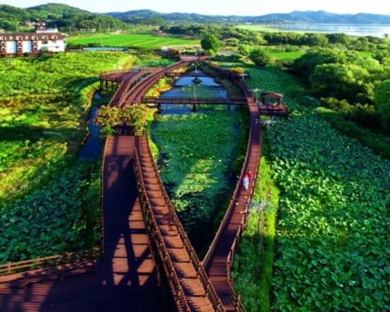 外国人首尔/忠清（2天1夜）- 液塘湖雕塑公园，鳄湾御亭公园，液塘湖日落观赏，景福宫，明洞