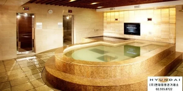 Novotel Ambassador Seoul Gangnam