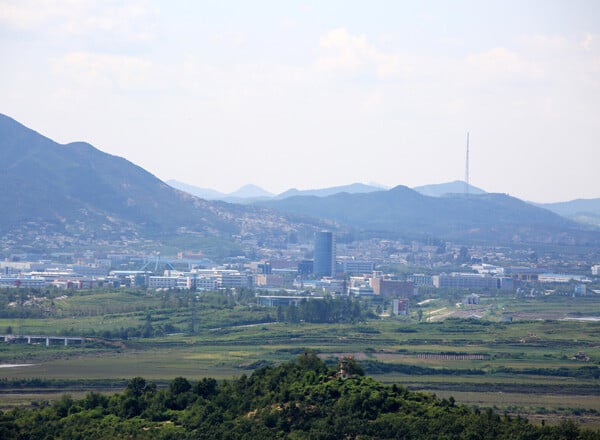 Paju Peace Tourism DMZ 1-day tour (3rd Tunnel/DMZ Exhibition Center/Dorasan Observatory/Paju Peace Nuri Park)