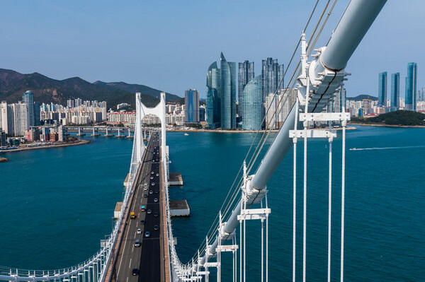 Busan Seven Bridges Day TourㅣBusan Departure
