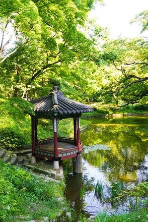 Changdeokgung Palace & Huwon