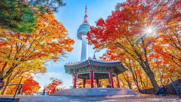 Namsan-Tower-during-autumn-in-Seoul-South-Korea-12