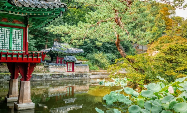 Seoul 1-Day Tour for Foreigners - Changdeokgung Palace, War Memorial of Korea, Seoul Sky
