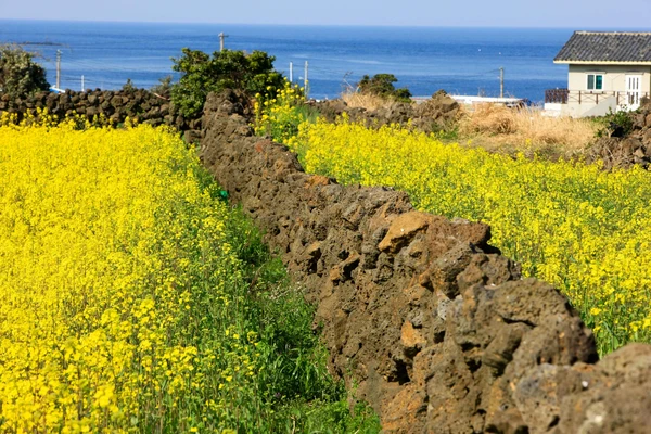 Type1_우도_한국관광공사 김지호_Qc9U8a.jpg