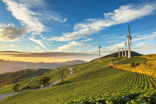 Type1_자연과 에너지_서보선_mbxwha.jpg