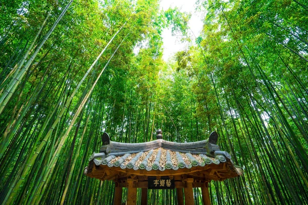 Type1_죽녹원 _한국관광공사 김지호_JTDV6a.jpg