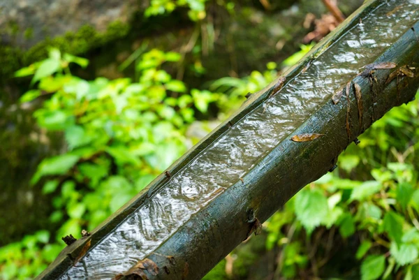 Type1_소쇄원_한국관광공사 김지호_ClJSwa.jpg