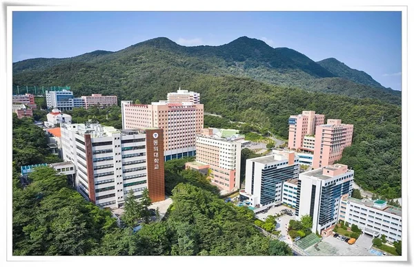Dong-Eui University