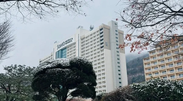 Sonobel Vivaldi Park B · C