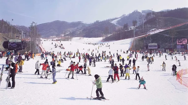 Korea Influencer 4D 3N Tour – Seoul 2 Nights & Nami Island + Ski Resort 1 Night (Ski Lesson & Rental Included) (No Shopping / No Option / No Tip)