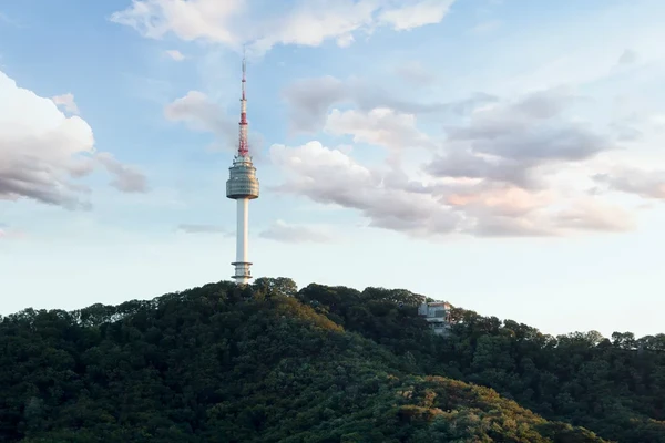 N Seoul Tower Observatory Admission Ticket ✨