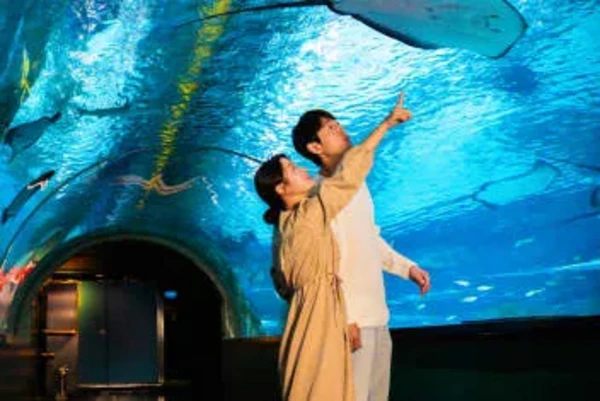SEA LIFE COEX, Seoul Aquarium Official Tickets