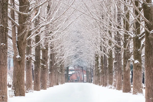 Based on 4 or 2 Peaple | Morning Arrival |  K-Beauty Skin Treatment + Nami Island Day Tour & Seoul Leisure (4 Nights / 5 Days)