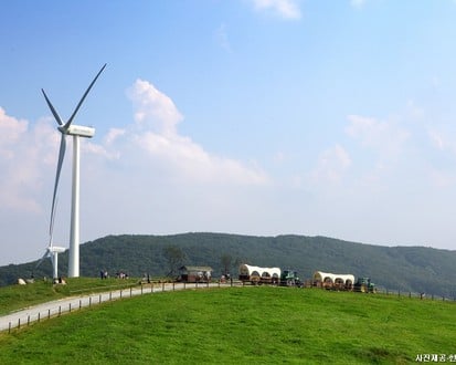 Pyeongchang & Jeongseon 2-Day Tour (Meadow Routes · Sky Road · Sensory Travel) – Seoul Departure