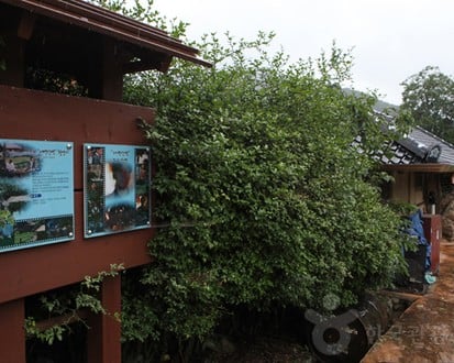 Jeollanam-do 3-Day Tour (Jeongeup · Haenam · Gangjin · Damyang) – Departing from Seoul