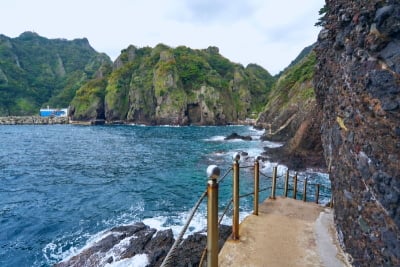 [Pohang Yeongil Bay Port/Dokdo Included] Ulleungdo 3-Day #1NightCruise #1NightOnUlleungdo #HotelQuality #OverlandTour (Course A) #Yelimwon