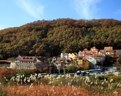 Namiseom + Petite France + Italian Village + Dongdaemun Market Day Trip (1-day tour)