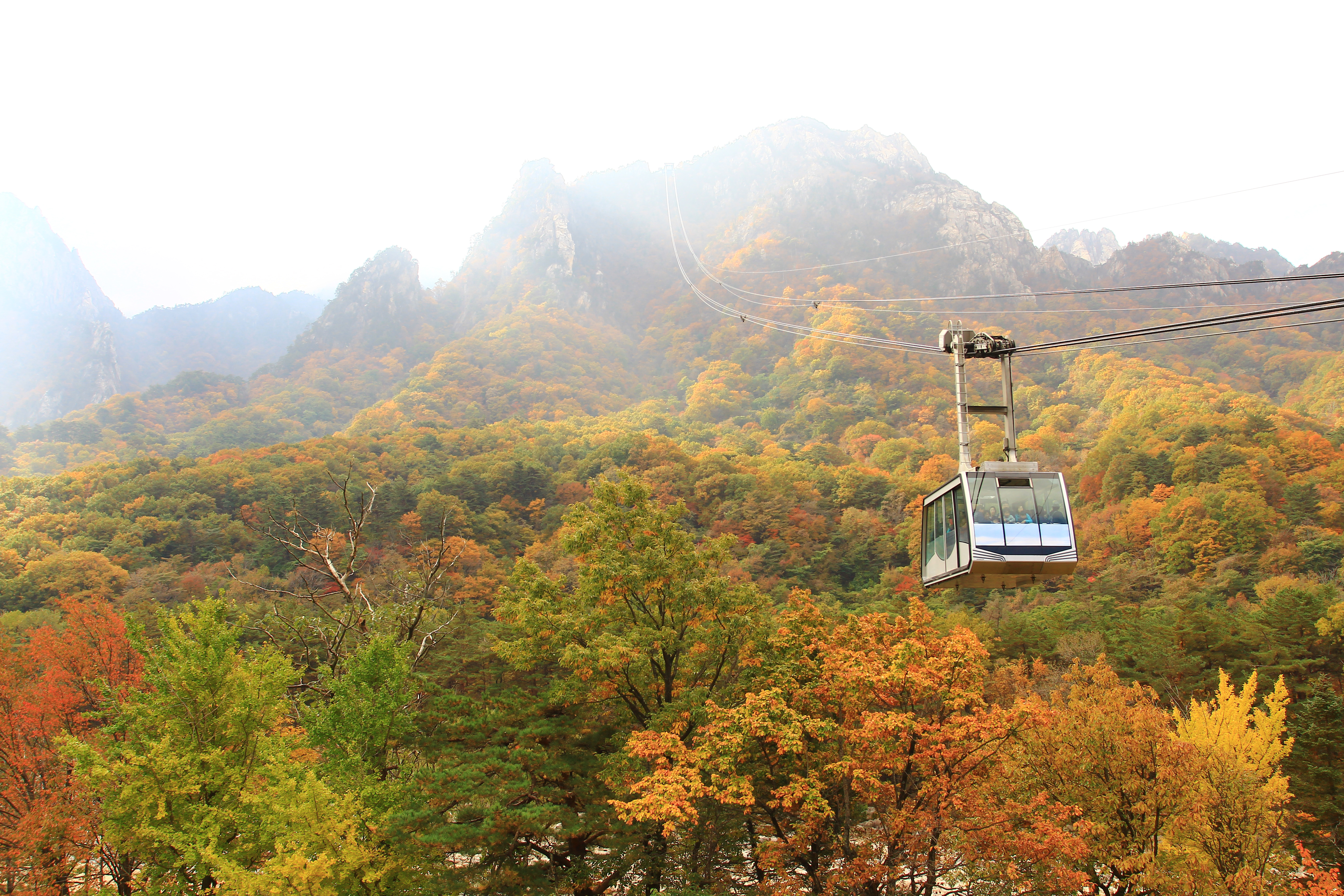 Gangwon-do Eastern Region 3-Day Tour (Gangneung · Sokcho · Samcheok) – Departing from Seoul