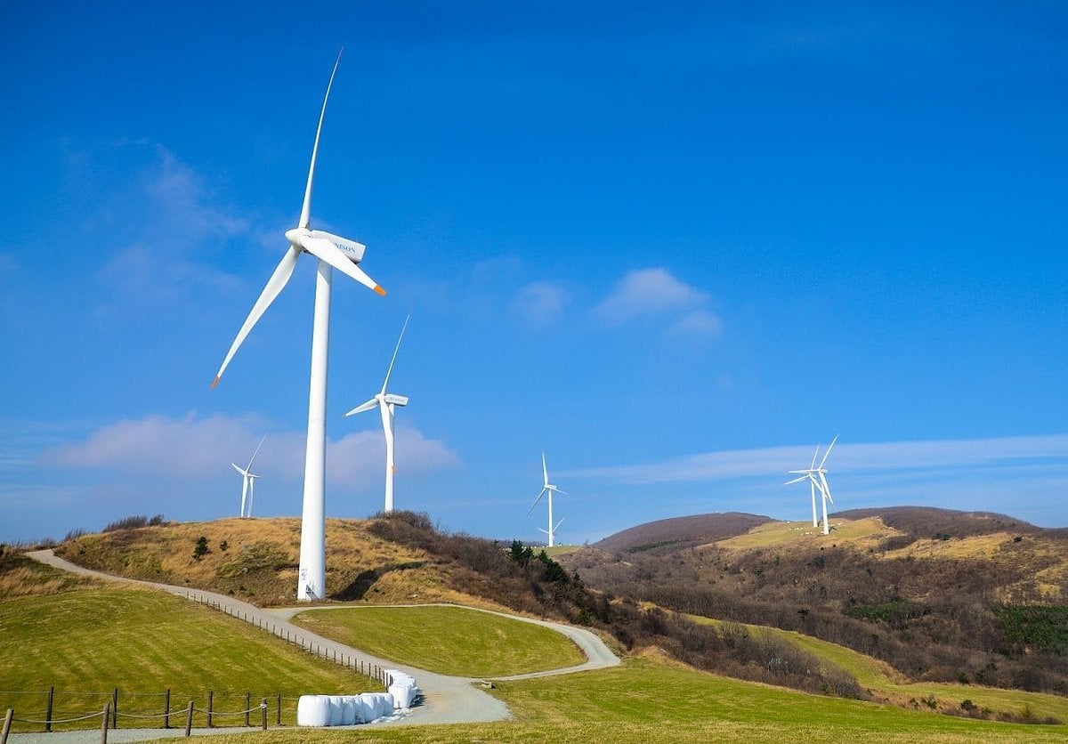 Gangwon-do Eastern Region 3-Day Tour (Gangneung · Sokcho · Samcheok) – Departing from Seoul