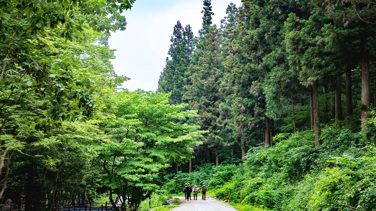 Jeollanam-do 3-Day Tour (Jeongeup · Haenam · Gangjin · Damyang) – Departing from Seoul