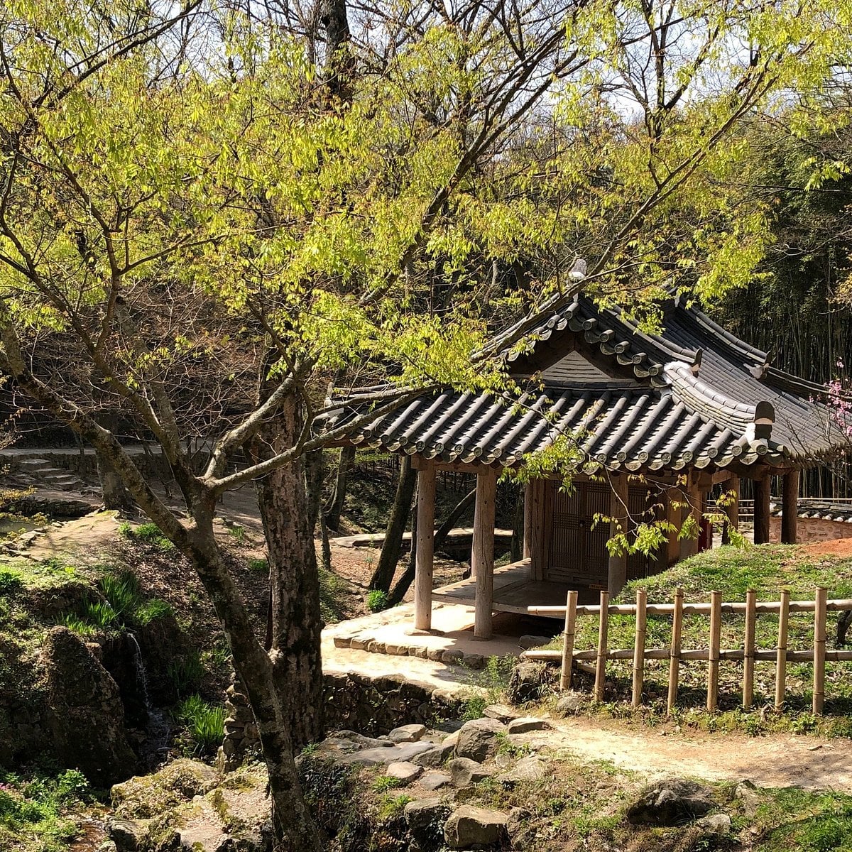 Jeollanam-do 3-Day Tour (Jeongeup · Haenam · Gangjin · Damyang) – Departing from Seoul