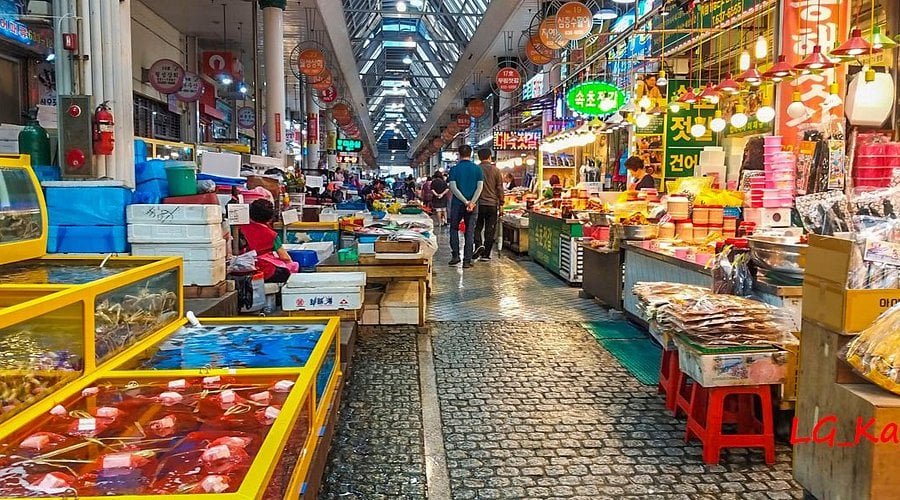 Korea Signature 5D4N Tour – Seoul · Nami Island · Mt. Seorak · Lotte World (No Shopping / No Option / No Tip)