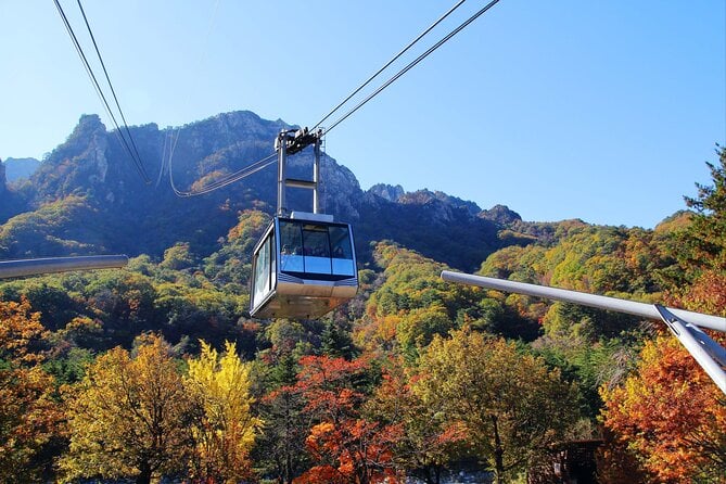 Korea Signature 5D4N Tour – Seoul · Nami Island · Mt. Seorak · Lotte World (No Shopping / No Option / No Tip)