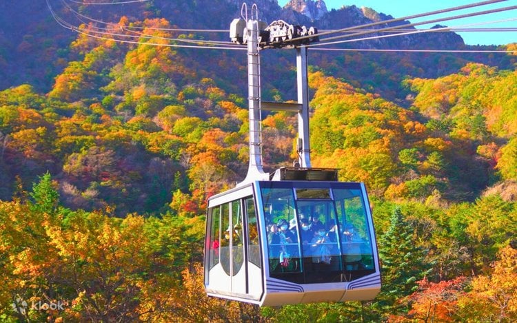 Korea Signature 5D4N Tour – Seoul · Nami Island · Mt. Seorak · Lotte World (No Shopping / No Option / No Tip)