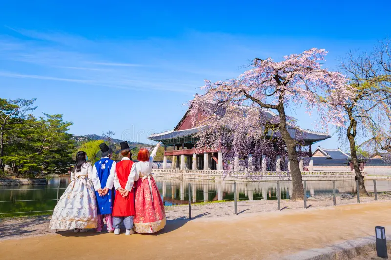 Korea Signature 5D4N Tour – Seoul · Nami Island · Mt. Seorak · Lotte World (No Shopping / No Option / No Tip)