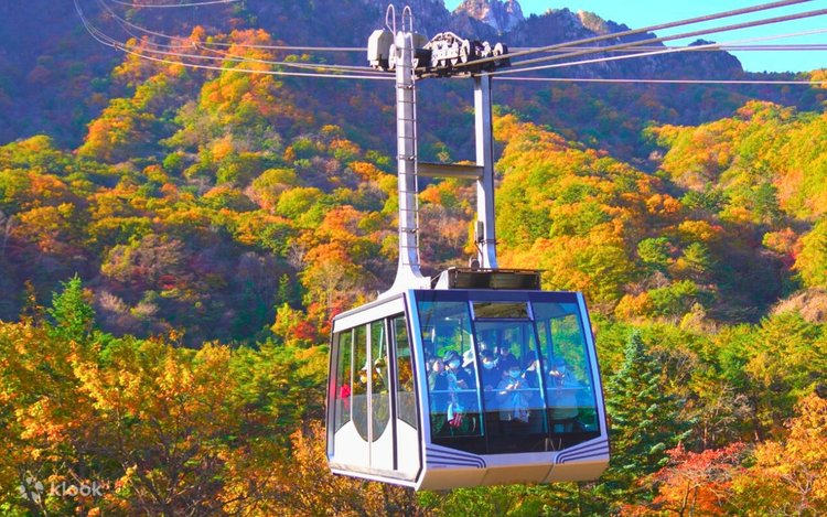 Korea Influencer 5D4N Tour – Seoul Folk Village & Everland · Gangwon: Nami Island & Mt. Seorak (No Shopping / No Option / No Tip)