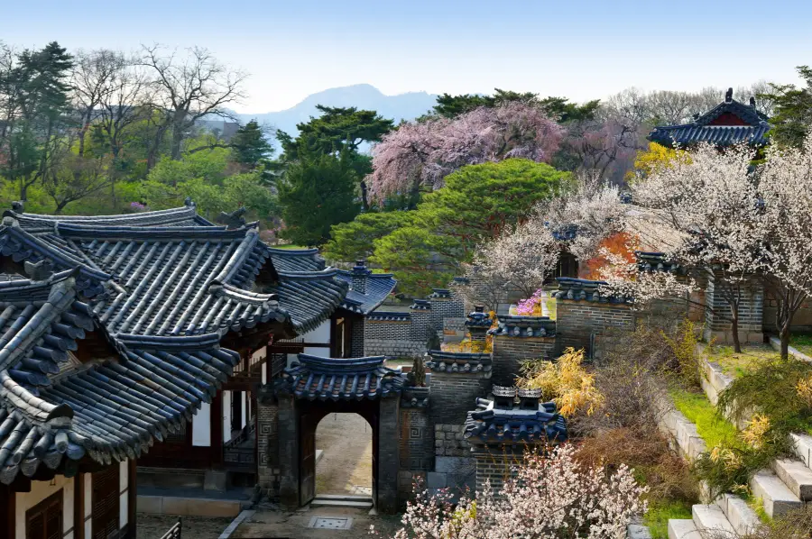 Korea Influencer 5D4N Tour – Seoul Folk Village & Everland · Gangwon: Nami Island & Mt. Seorak (No Shopping / No Option / No Tip)