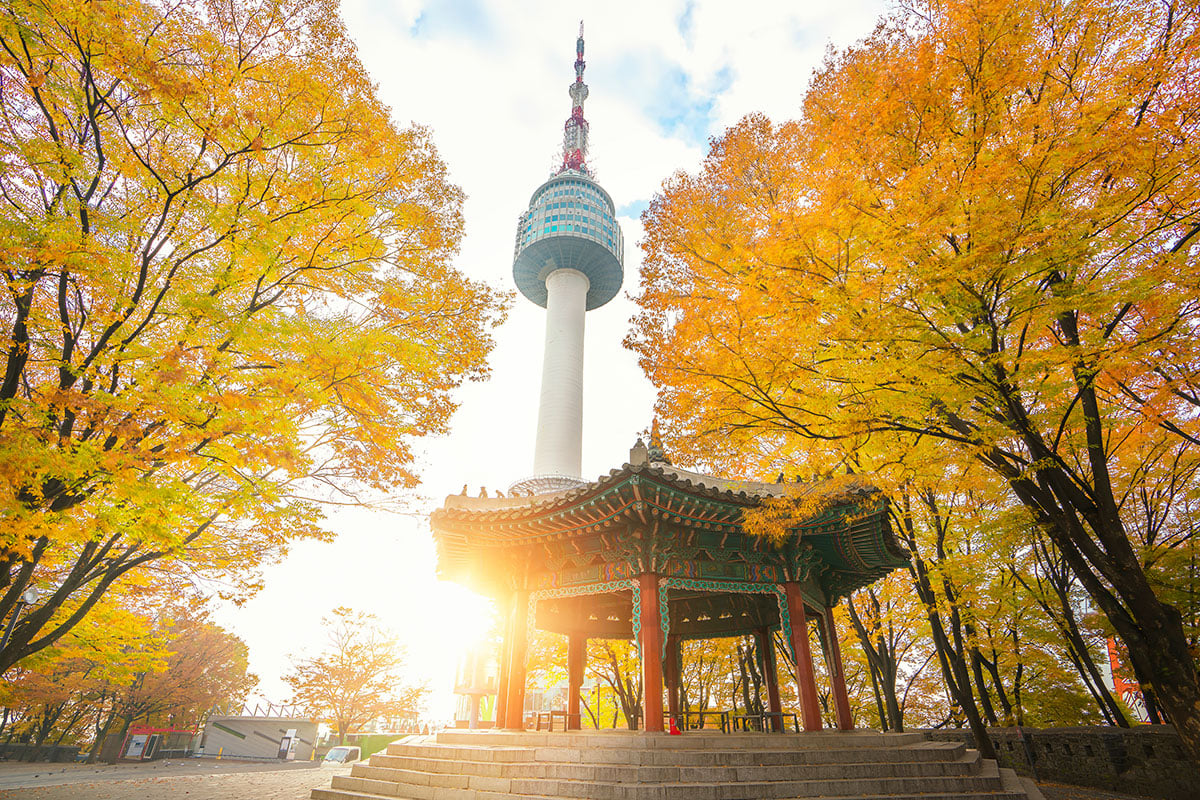 1-Day Seoul Tour for Foreigners - Blue House, Jogyesa Temple, N Seoul Tower, etc.