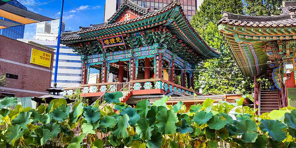 1-Day Seoul Tour for Foreigners - Blue House, Jogyesa Temple, N Seoul Tower, etc.