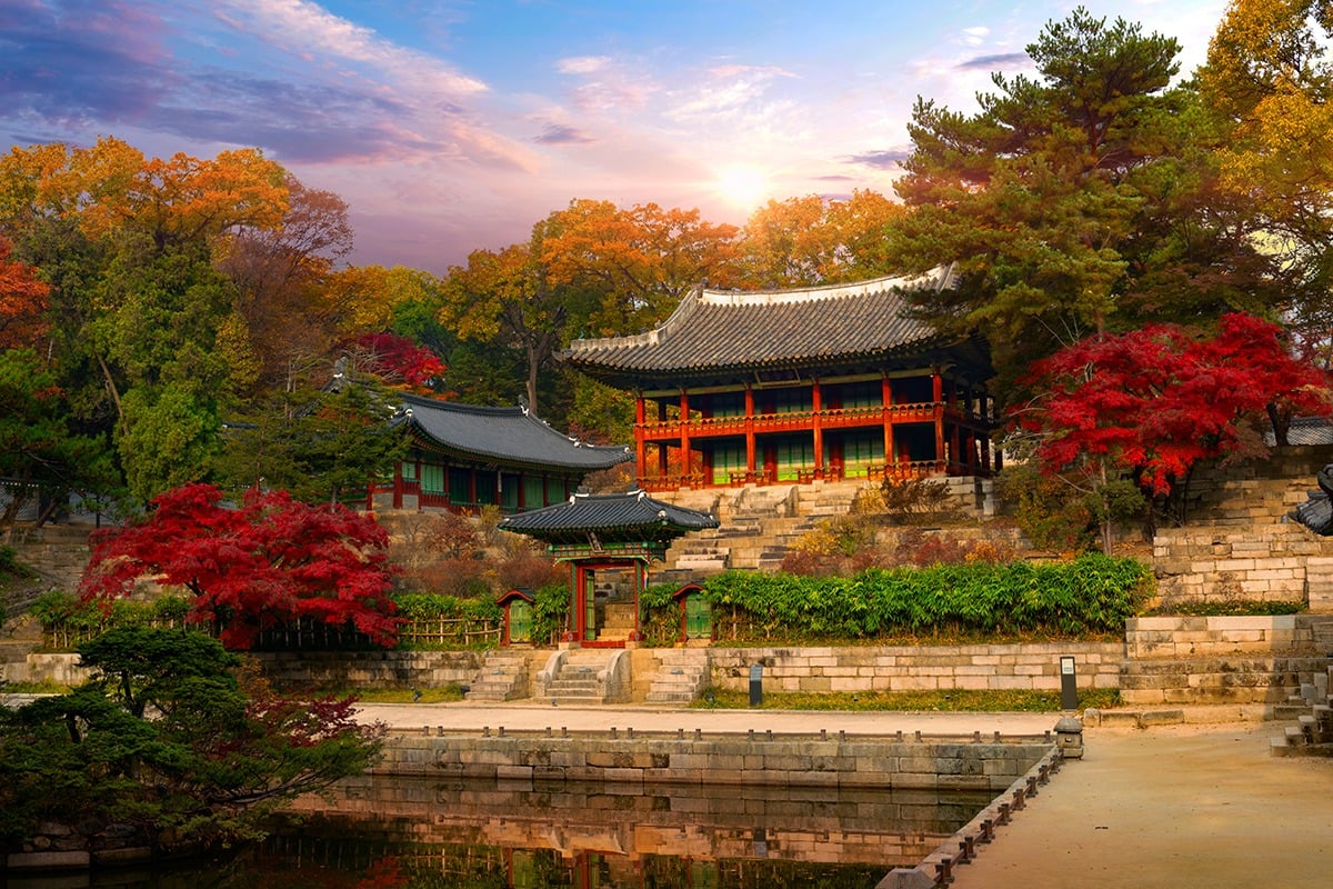 1-Day Seoul Daily Tour for Foreigners - Changdeokgung Palace, War Memorial, Seoul Sky