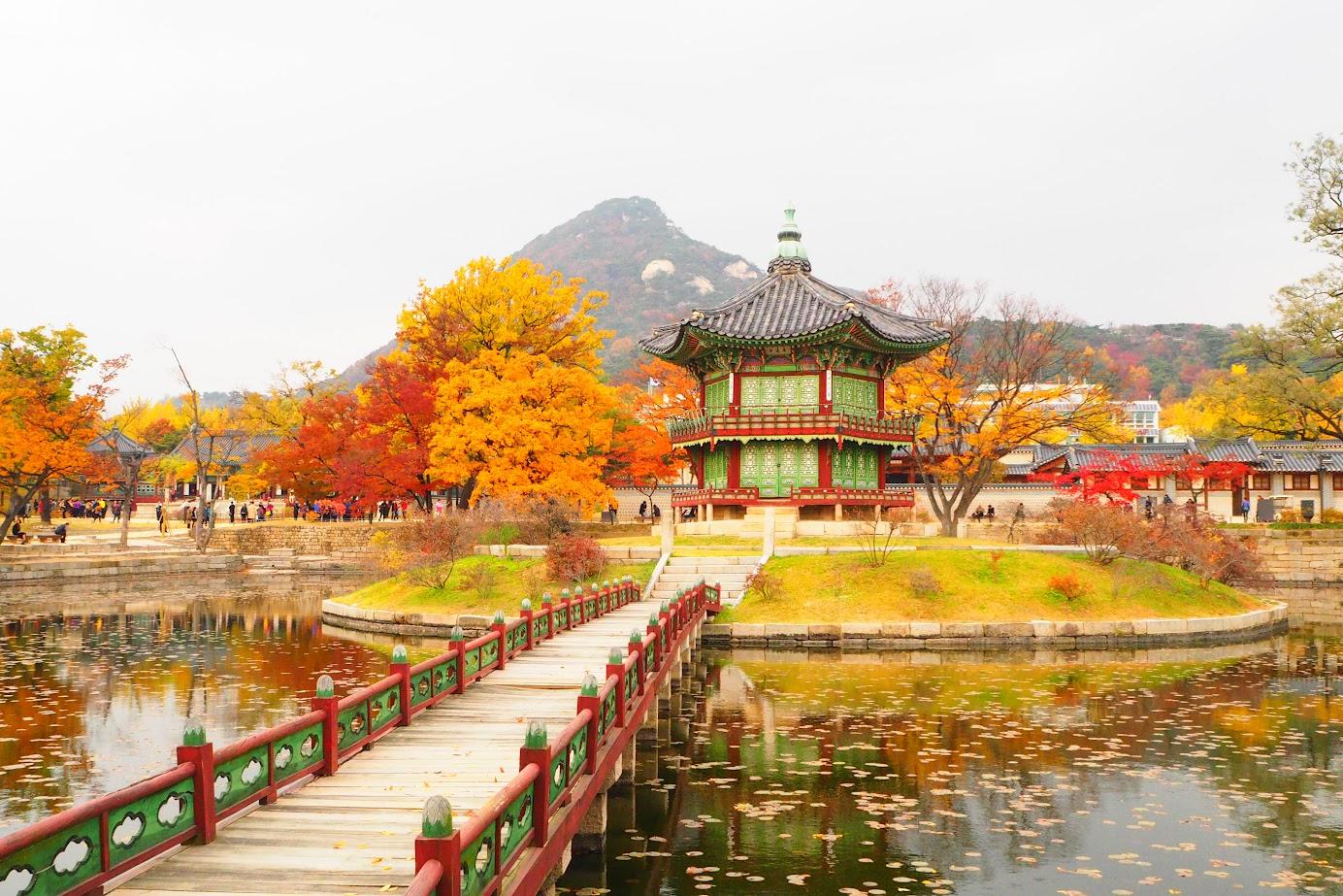 Wellness tour in Seoul (Hanbok + Knot Experience + Spa)