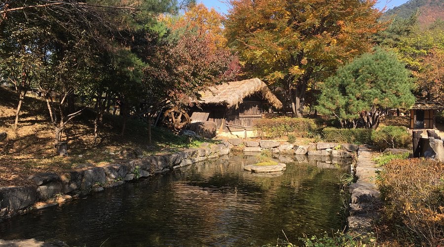 Pyeongchang & Jeongseon 2-Day Tour (Meadow Routes · Sky Road · Sensory Travel) – Seoul Departure