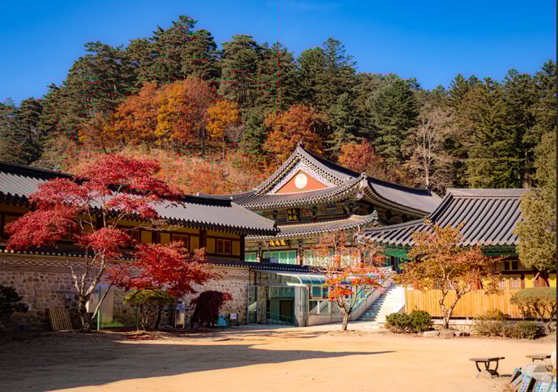 Pyeongchang & Jeongseon 2-Day Tour (Meadow Routes · Sky Road · Sensory Travel) – Seoul Departure