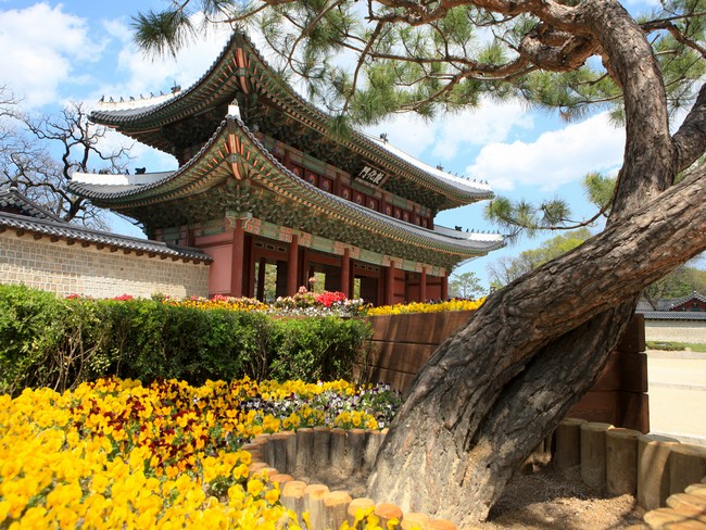 Seoul 1-Day Daily Tour for Foreigners – Changdeokgung, War Memorial of Korea, Seoul Sky