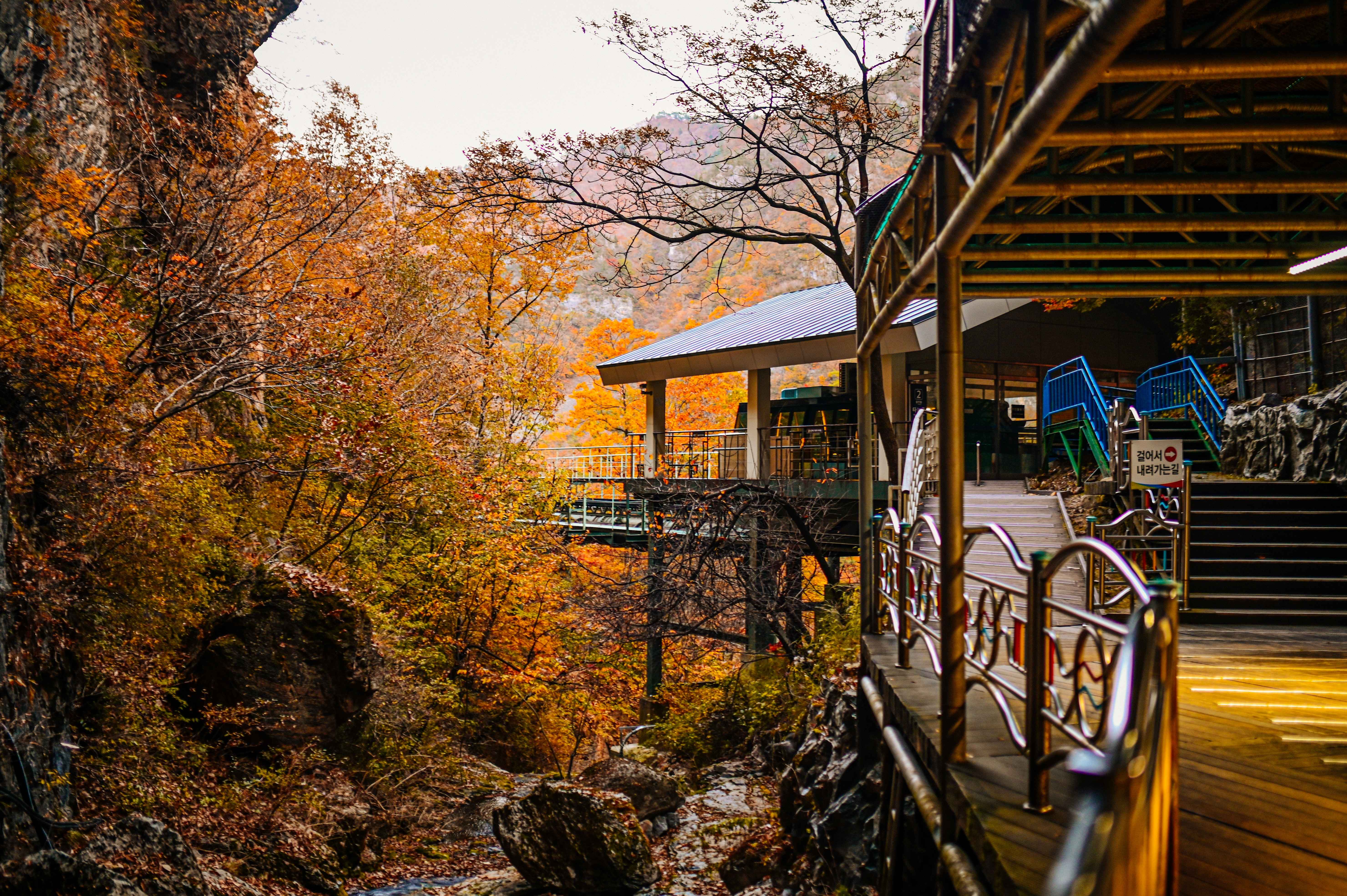 Korea East Coast 3-Day Tour (Yangyang · Samcheok · Busan) – Seoul Departure