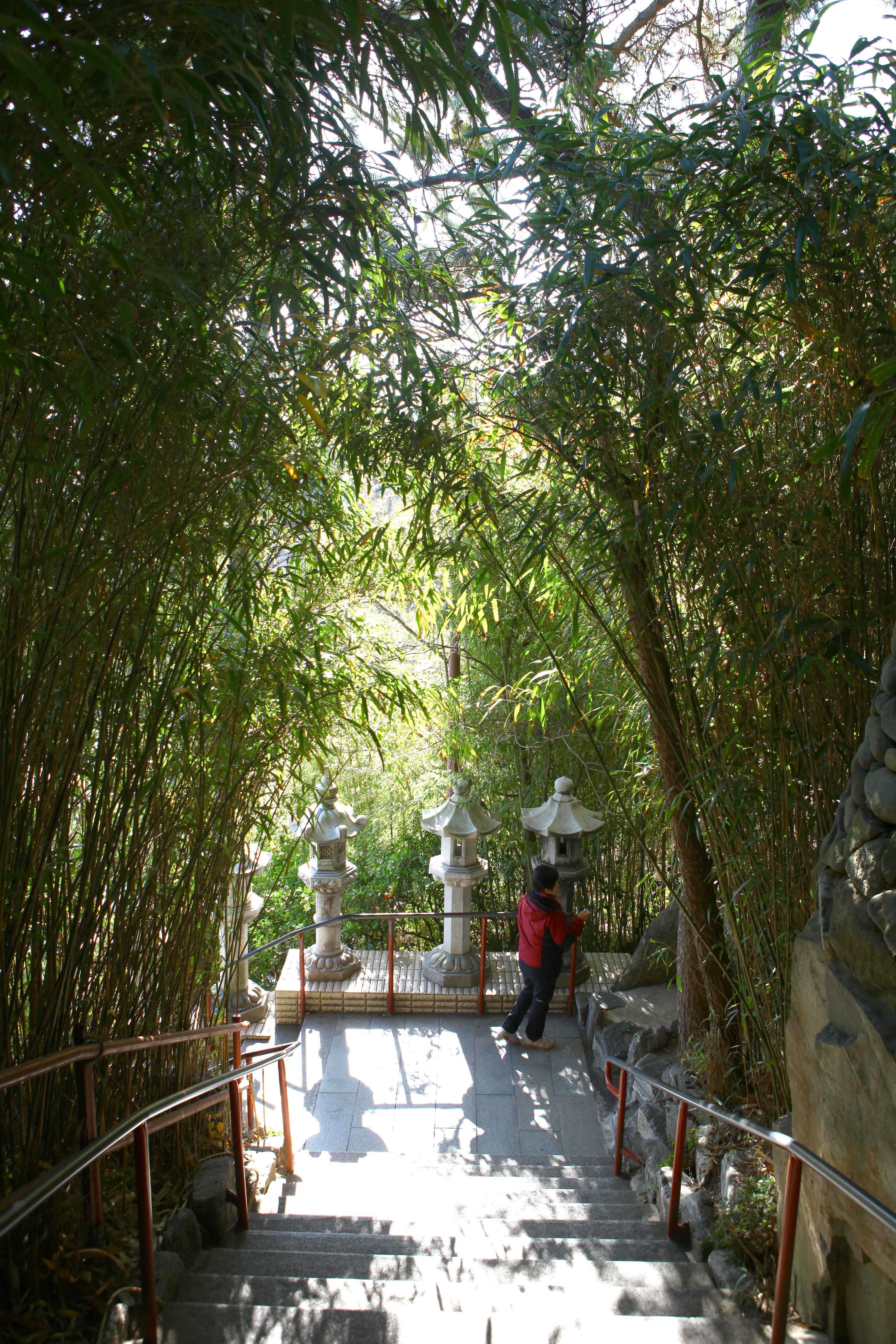 Korea East Coast 3-Day Tour (Yangyang · Samcheok · Busan) – Seoul Departure