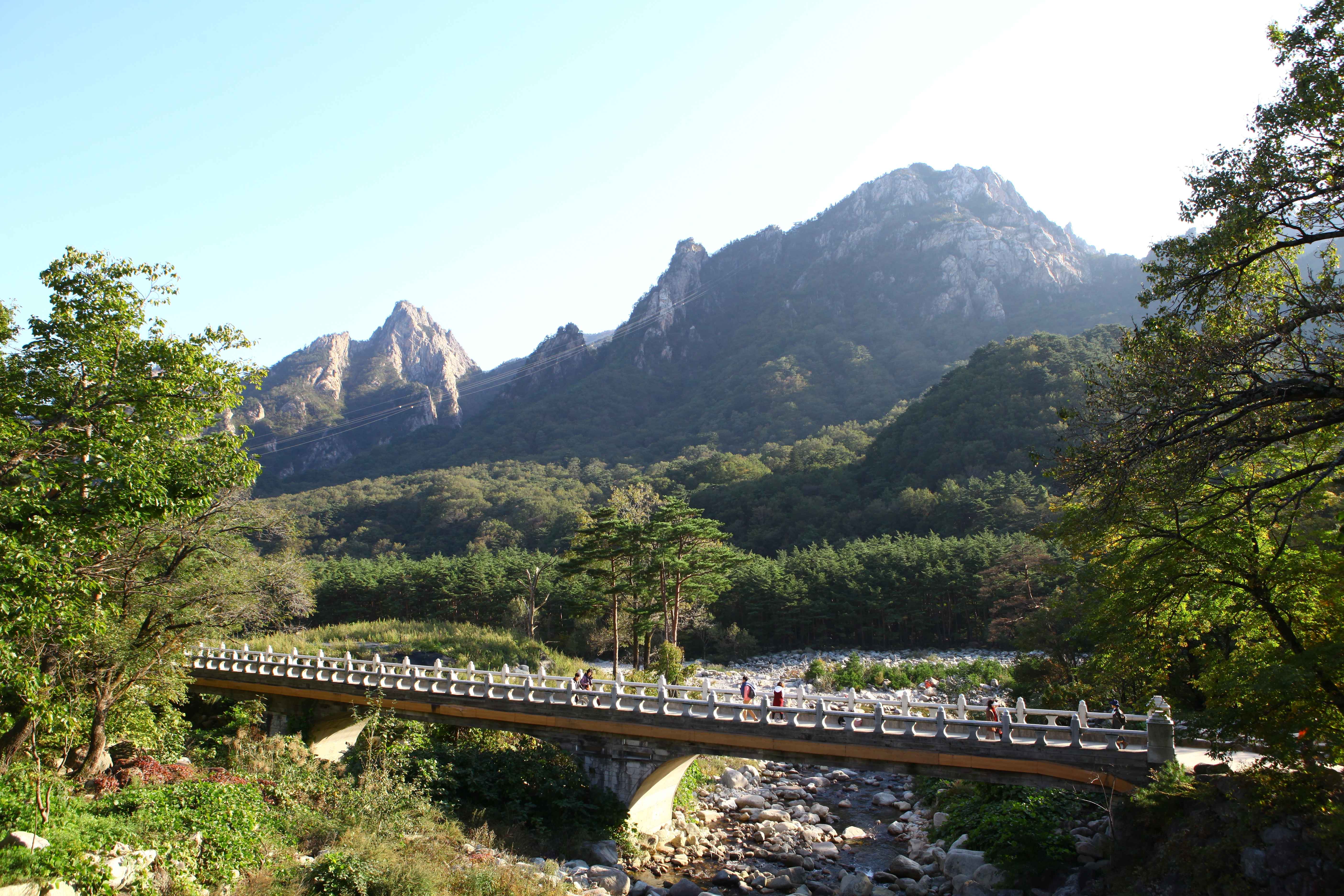 Gangwon-do Eastern Region 3-Day Tour (Gangneung · Sokcho · Samcheok) – Departing from Seoul