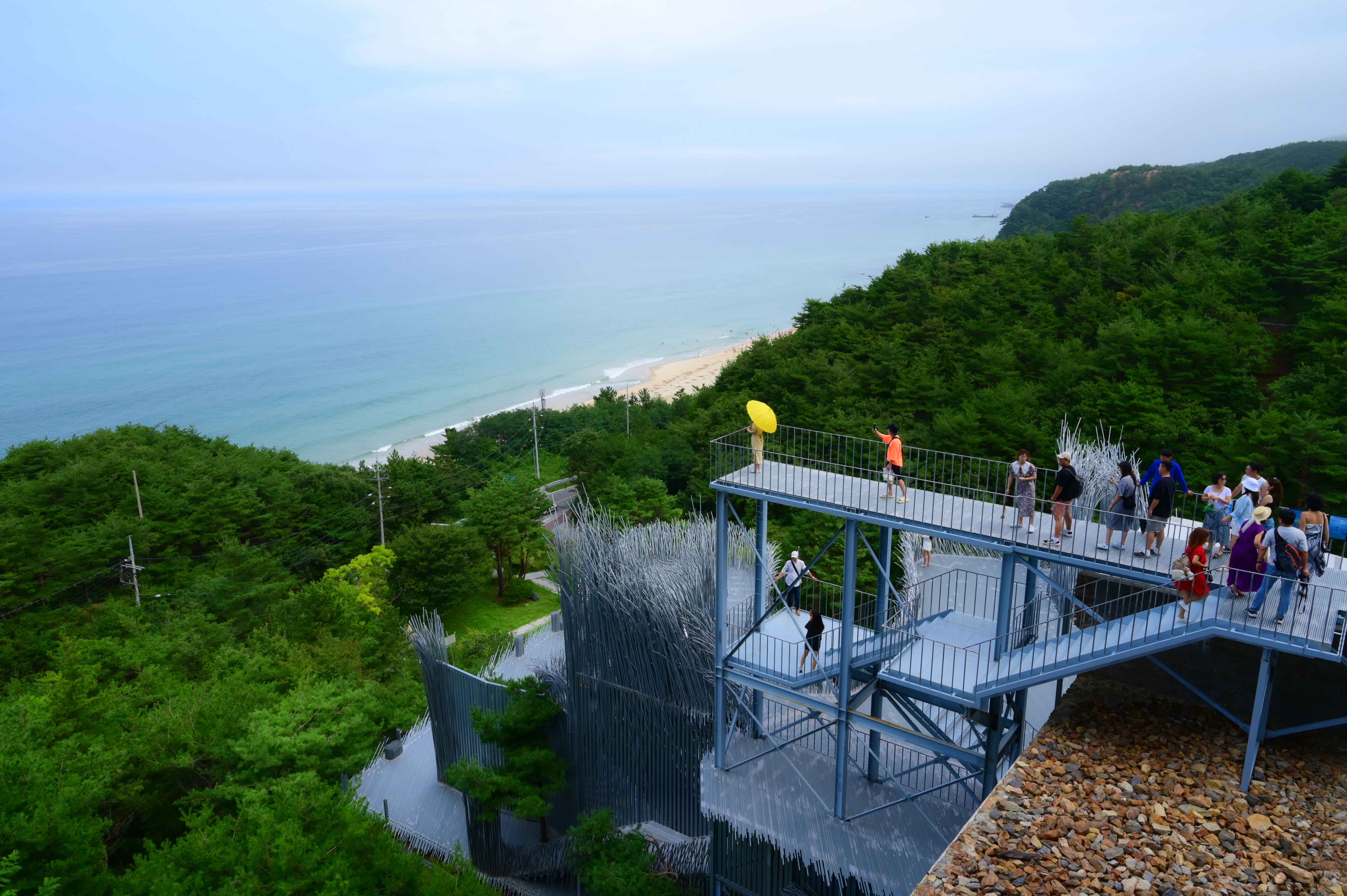 Gangwon-do Eastern Region 3-Day Tour (Gangneung · Sokcho · Samcheok) – Departing from Seoul