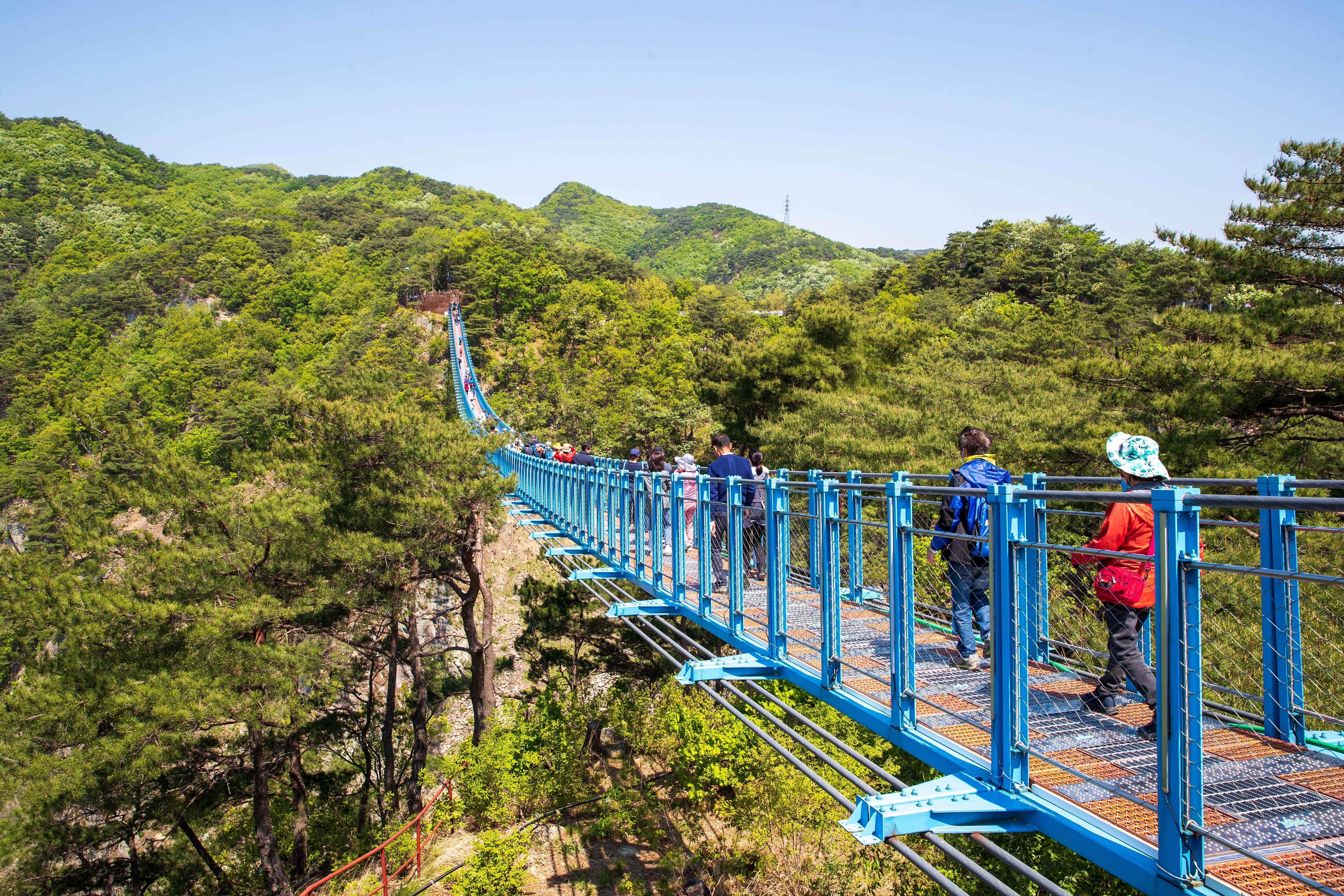 Gangwon-do Eastern Region 3-Day Tour (Gangneung · Sokcho · Samcheok) – Departing from Seoul