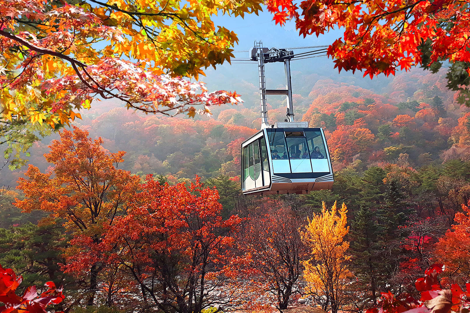 Gangwon-do 2-Day Tour (Inje · Sokcho · Wondae-ri Birch Forest · Seoraksan) – Seoul Departure